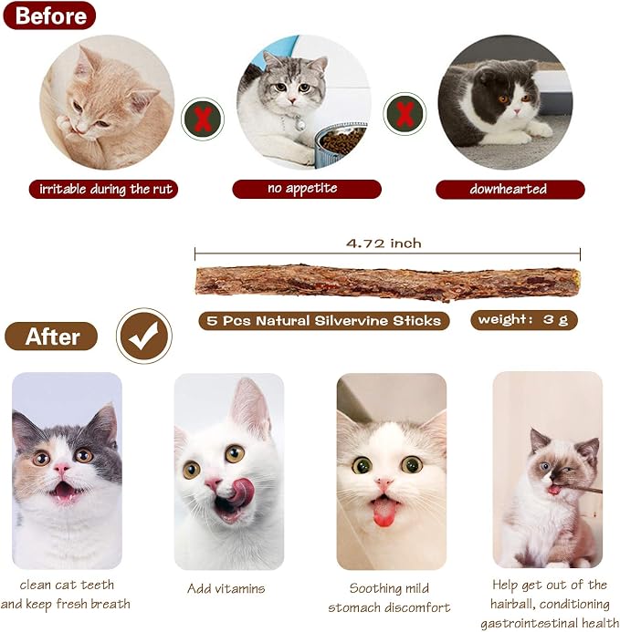 Natural Wood Cat Teaser Wand Toy, Catnip Sticks - Image 3