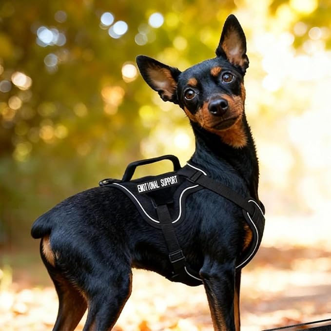 Tactical Dog Harness and Leash Set - Image 8