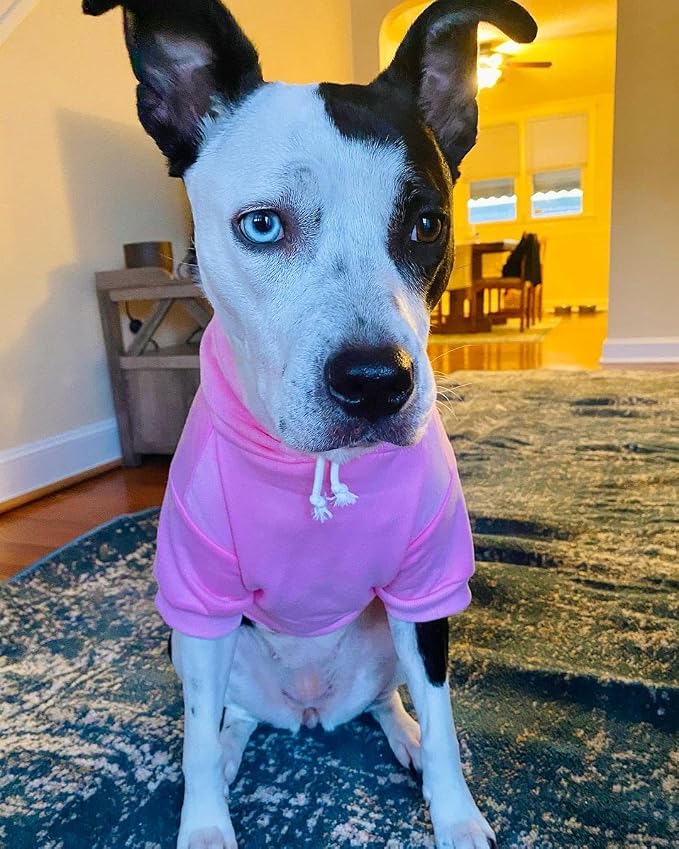Blank Dog Sweatshirt Pet Hoodie - Image 6