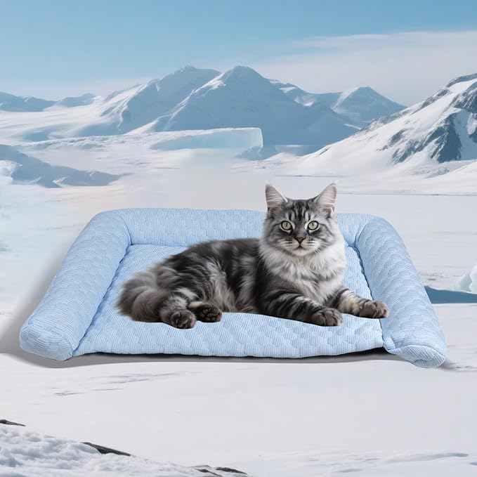 Pet Pad for Cat by Unknown