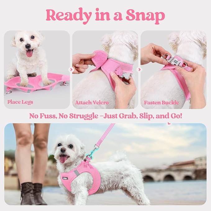 rabbitgoo Dog Harness Medium Sized and Leash Set, Step in Soft Light Puppy Vest - Image 8