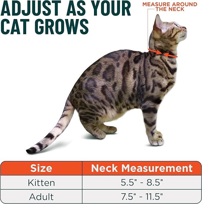 OutdoorBengal Red Cat Collar Breakaway - Image 5