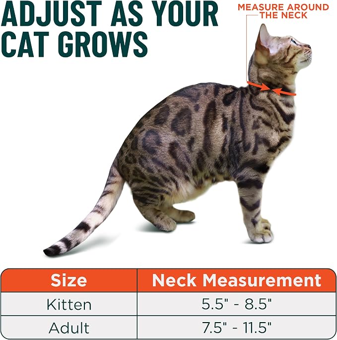 OutdoorBengal Blue Cat Collar Breakaway - Image 5