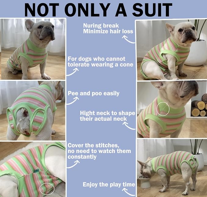 Sebdtico Recovery Suit for Dogs, Dog Surgery Suit Female Spay, Soft Dog Onesie - Image 4
