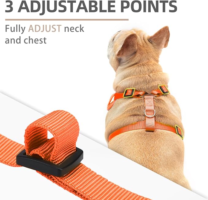PUPTECK Halloween Small Dog Harness and Leash Set, No Pull Adjustable Puppy Cat - Image 2