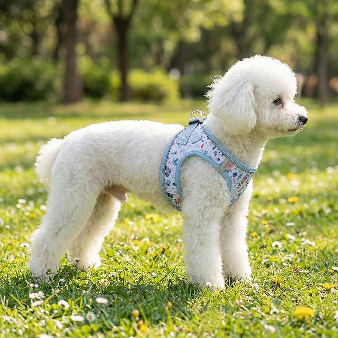 Step in Dog Harness and Leash Set, Reflective Adjustable No Pull Dog Harness - Image 4