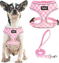 PUPTECK Soft Mesh Dog Harness and Leash Set Pet Puppy Cat Comfort Padded Vest by PUPTECK