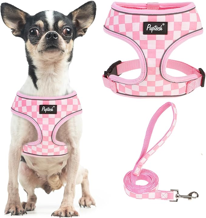 PUPTECK Soft Mesh Dog Harness and Leash Set Pet Puppy Cat Comfort Padded Vest by PUPTECK