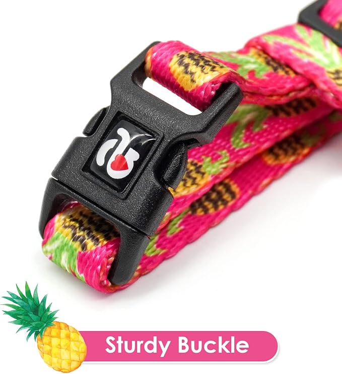 azuza Cat Harness and Leash Set, Escape Proof Adjustable Kitten Vest - Image 3