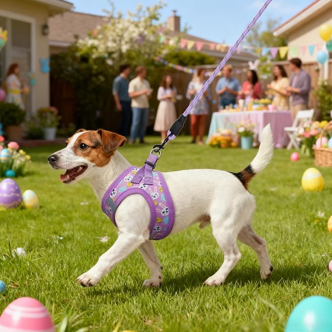 BEAUTYZOO Easter Dog Harness and Leash Set, Step in No Choke No Pull Soft Mesh - Image 6