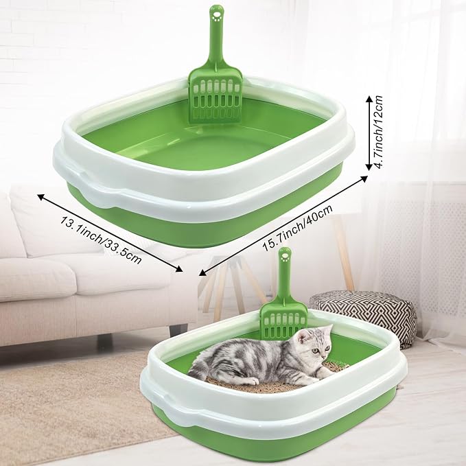 Kitten Starter Kit - Image 3