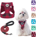 BEAUTYZOO Small Dog Harness and Leash Set, Step in No Choke No Pull Soft Mesh by BEAUTYZOO