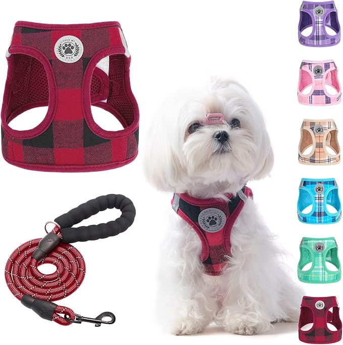 BEAUTYZOO Small Dog Harness and Leash Set, Step in No Choke No Pull Soft Mesh by BEAUTYZOO