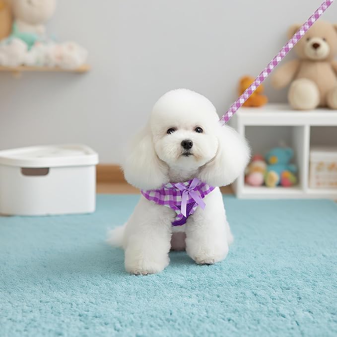 EXPAWLORER Cute Dog Harness and Leash Set - Image 7
