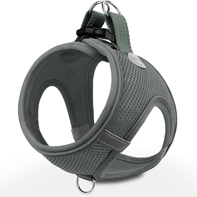 Joytale Small Dog Harness, Breathable Mesh Step-in Vest, Reflective Soft Padded by Joytale