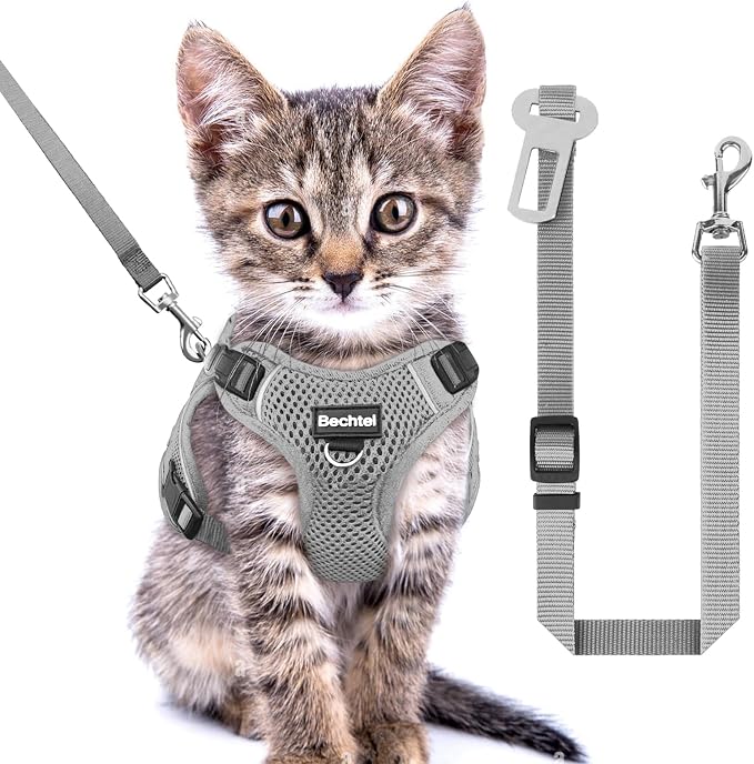 Cat Harness and Leash Set for Walking Escape Proof, Adjustable Soft Kittens Vest by BECHTEL