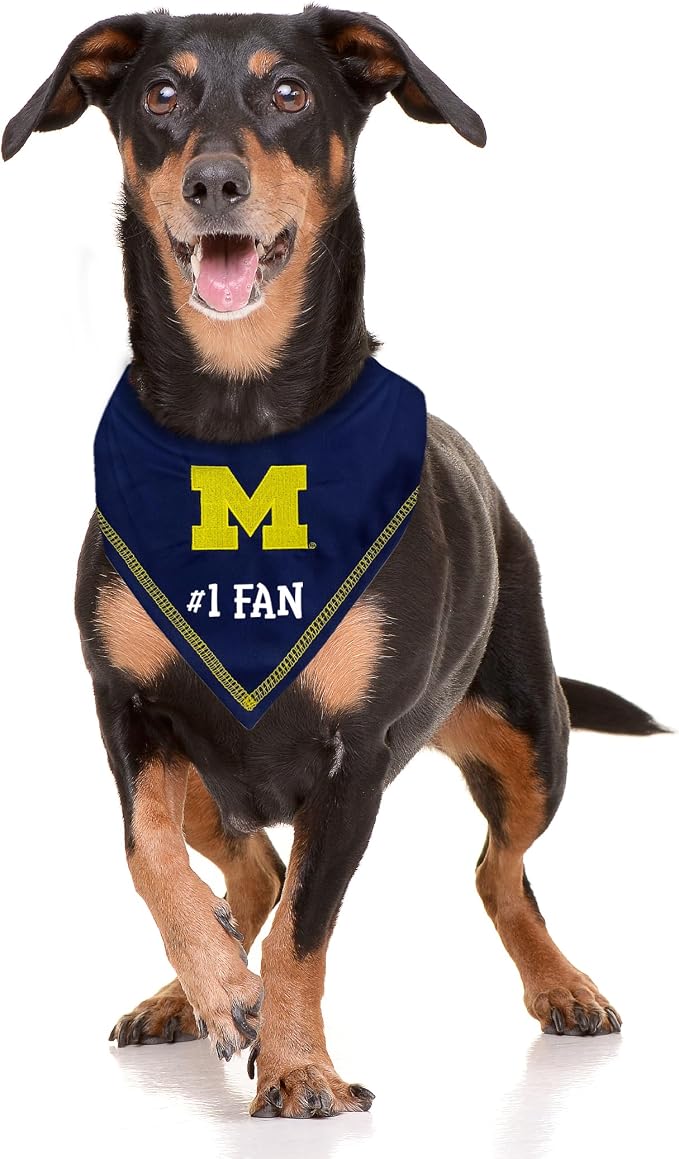 NCAA Michigan Wolverins Personalized Tie Bandana - Image 3