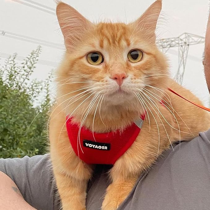 Voyager Step-in Pet Harness - Image 7