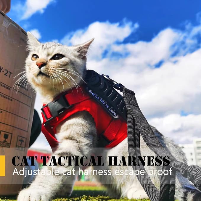 Tactical Cat Harness and Leash for Walking Escape Proof, Adjustable Military K9 - Image 5