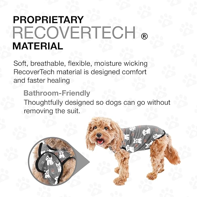 BellyGuard Dog Surgery Recovery Suit, Dog Onesie - Image 6