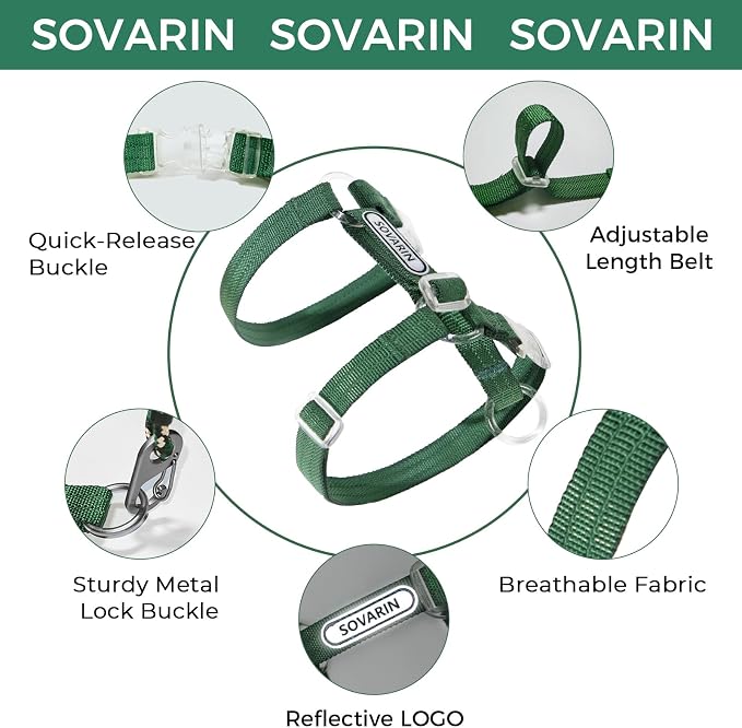 Cat Harness and Leash Set - Image 5