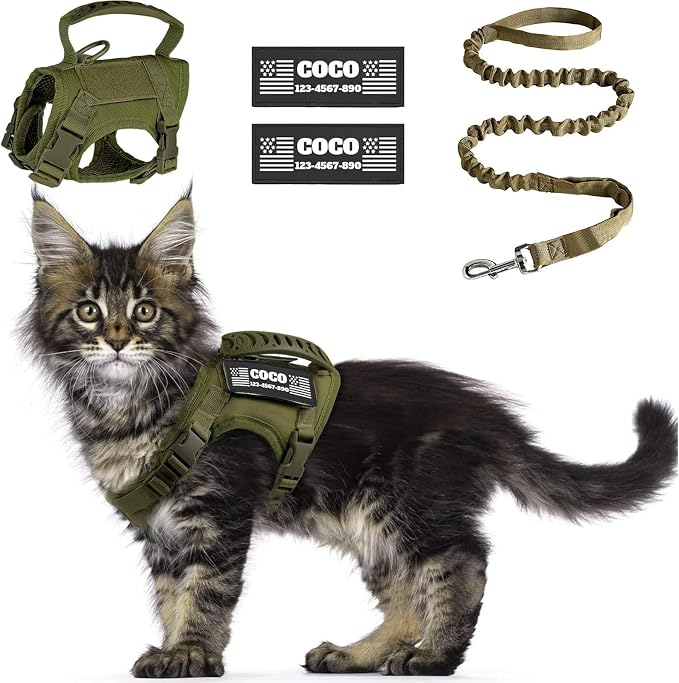 Tactical Cat Harness Escape Proof by CHRYMPETIC