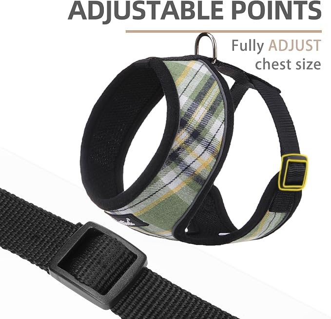 PUPTECK Soft Mesh Dog Harness and Leash Set Pet Puppy Cat Comfort Padded Vest - Image 2