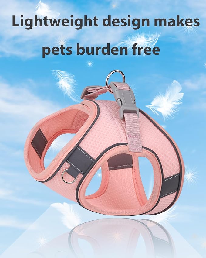 Dog Harness for Small Medium Sized Dog, Step in Puppy Harness and Leash Set - Image 3