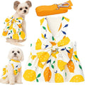Dog Dress Bowknot Harness Leash Set by LAPOHI