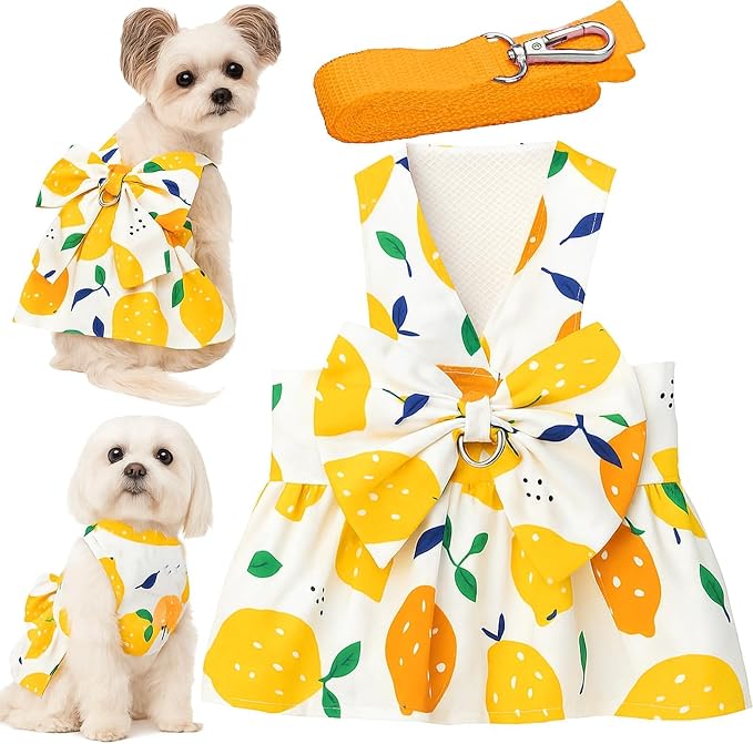 Dog Dress Bowknot Harness Leash Set by LAPOHI