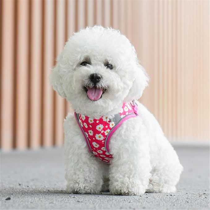 Step in Dog Harness No Pull Flower Adjustable Soft Mesh Padded Reflective Pet - Image 7
