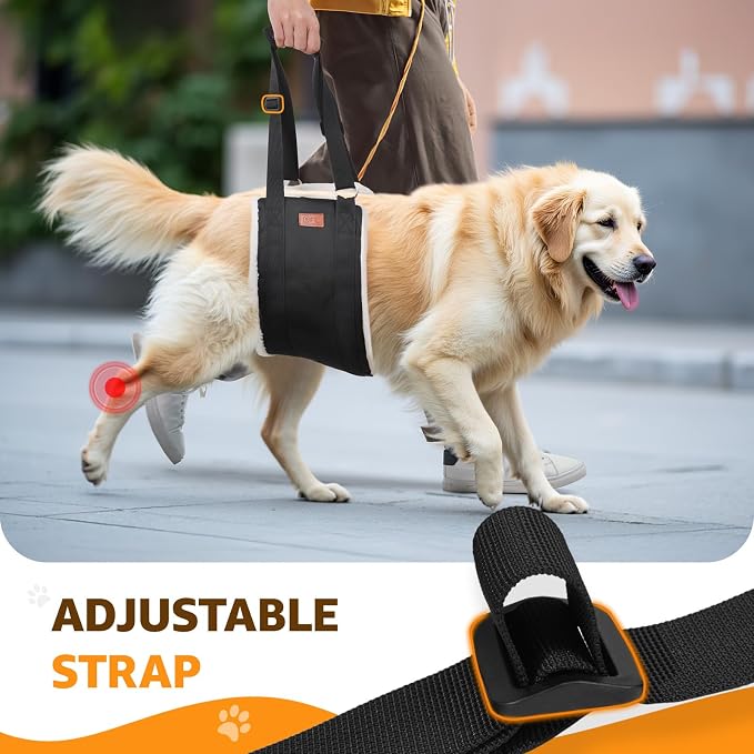 Adjustable Dog Lift Harness, Dog Sling - Image 8