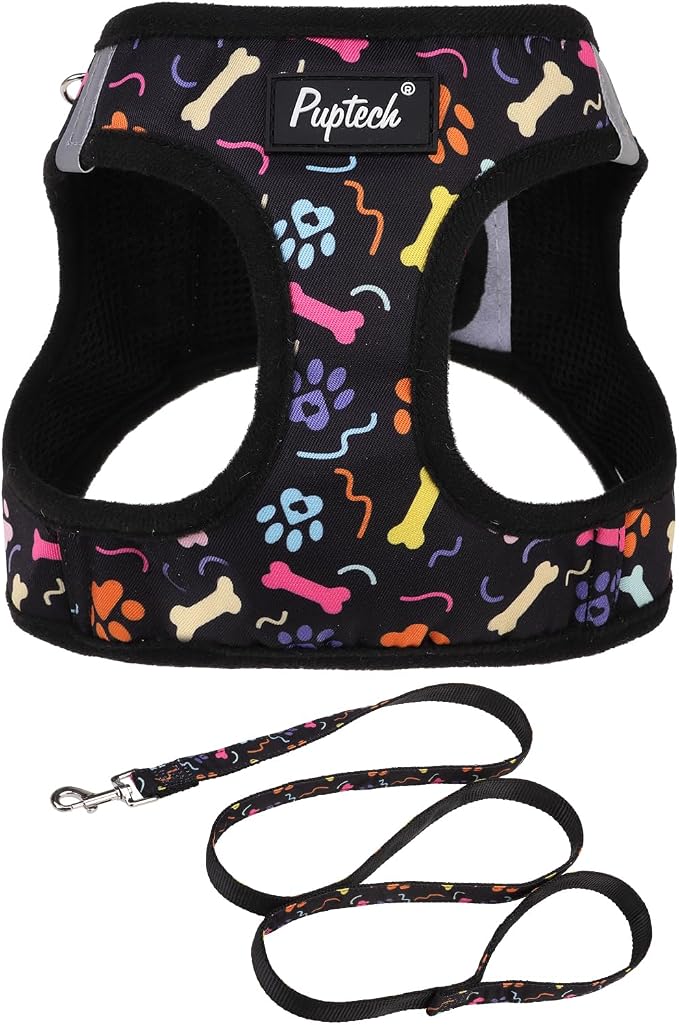 PUPTECK Dog Harness and Leash Set by PUPTECK