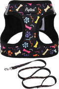 PUPTECK Dog Harness and Leash Set by PUPTECK