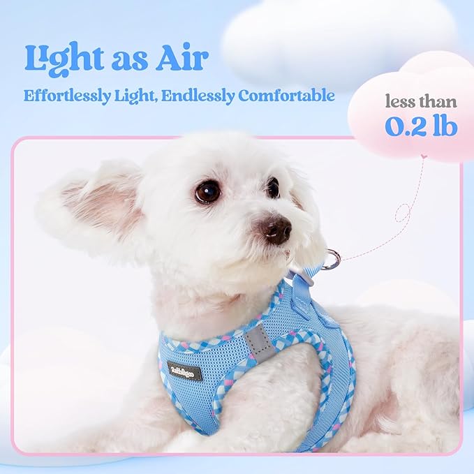 rabbitgoo Dog Harness Small Sized and Leash Set, Step in Soft Light Puppy Vest - Image 4