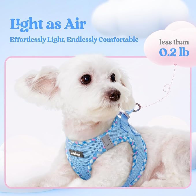 rabbitgoo Dog Harness Small Sized and Leash Set, Step in Soft Light Puppy Vest - Image 4