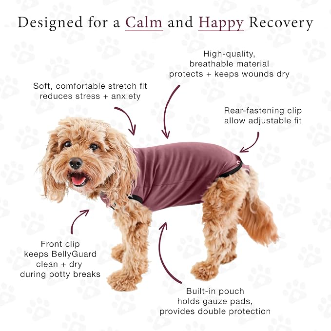BellyGuard Dog Surgery Recovery Suit, Dog Onesie - Image 5