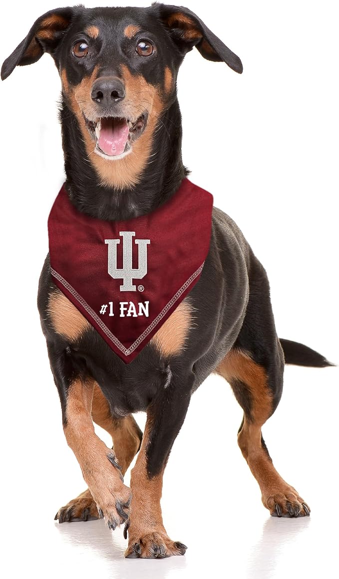 Pets First NCAA Indiana Hoosiers Personalized Tie Around Bandana - Image 2