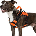 WINGOIN Orange Tactical Dog Harness by WINGOIN