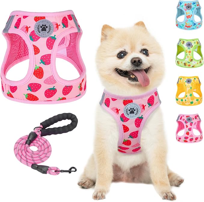 BEAUTYZOO Step in Dog Harness and Leash Set, Reflective Dog Harness No Pull No by BEAUTYZOO