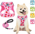 BEAUTYZOO Step in Dog Harness and Leash Set, Reflective Dog Harness No Pull No by BEAUTYZOO