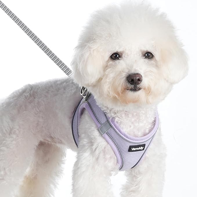Sparkly Dog Harness Small Sized and Leash Set - Image 2