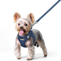rabbitgoo Dog Harness Small Sized and Leash Set, Step in Soft Light Puppy Vest by rabbitgoo