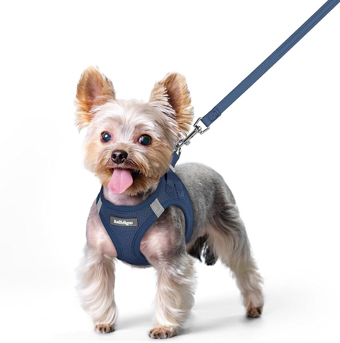 rabbitgoo Dog Harness Small Sized and Leash Set, Step in Soft Light Puppy Vest by rabbitgoo