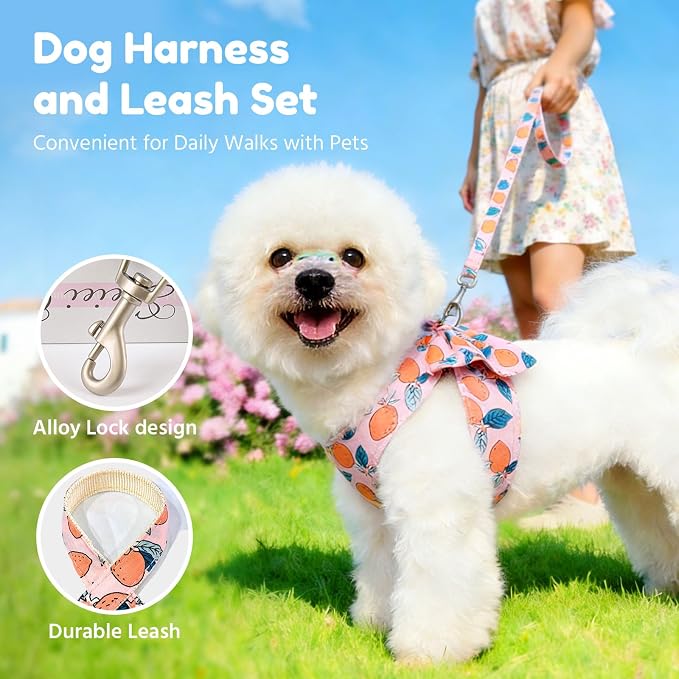 BAEJMJK Dog Harness and Leash Set - Image 4
