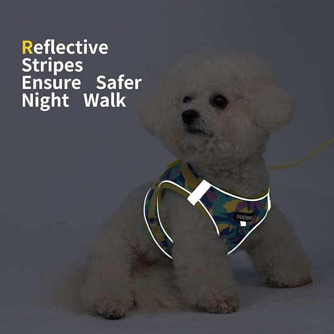 Step in Dog Harness with Leash Set, Adjustable Soft Padded and Breathable Mesh - Image 5