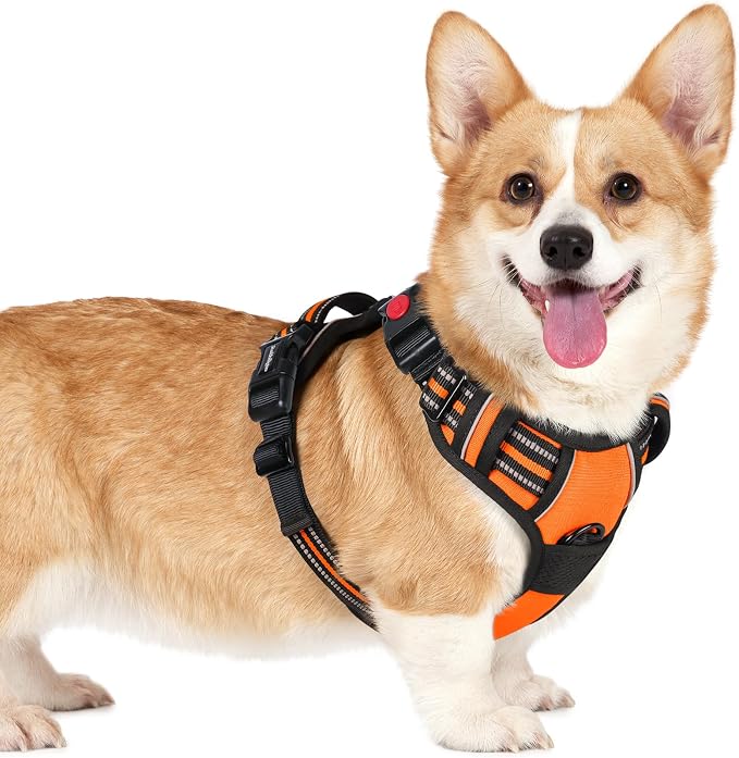 rabbitgoo Dog Harness Small Sized, No Pull Pet Harness by rabbitgoo