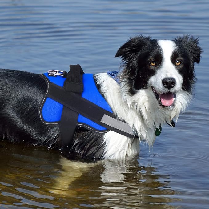 Bolux Dog Harness, No-Pull Reflective Dog Vest, Breathable Adjustable Pet - Image 6