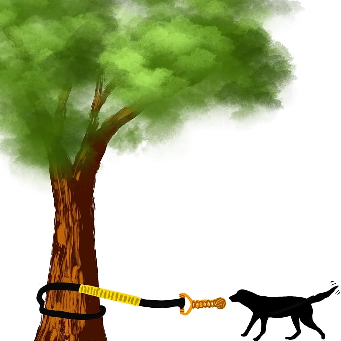 Dog Bungee Toy 20.35 ft Reinforced Interactive Rope - Image 9