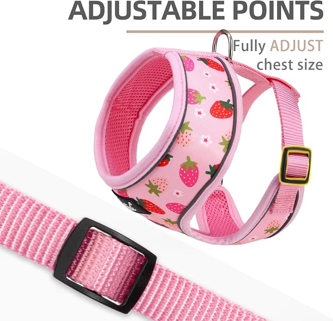 PUPTECK Soft Mesh Dog Harness and Leash Set Pet Puppy Cat Comfort Padded Vest - Image 3